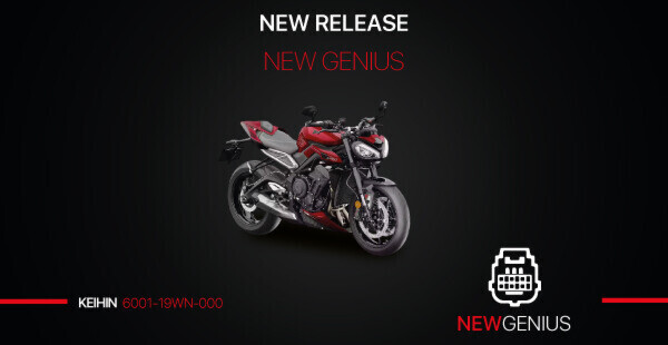 NOVITÀ BIKE: SUPPORTO SERIALE ECU TRIUMPH KEIHIN MY23+ RH850