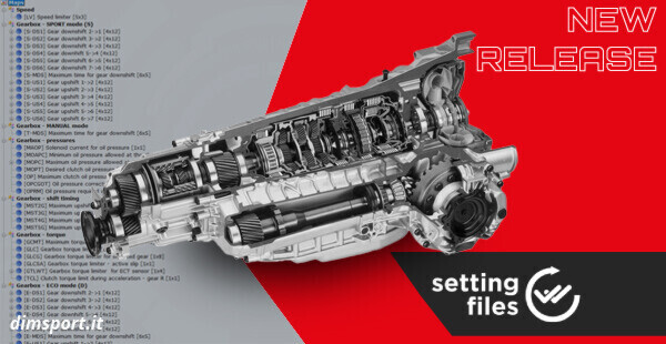 Settaggi aggiornati per i cambi DSG TEMIC DL501